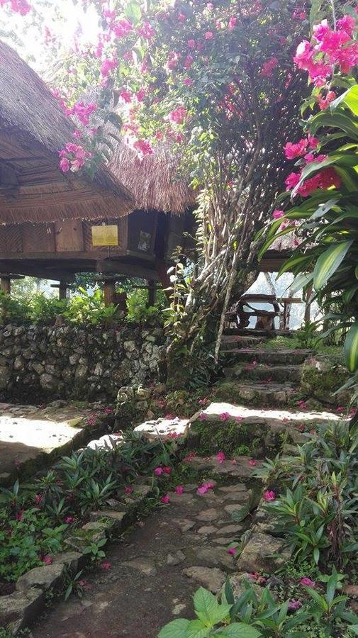 Native Village Inn Banaue Exteriér fotografie