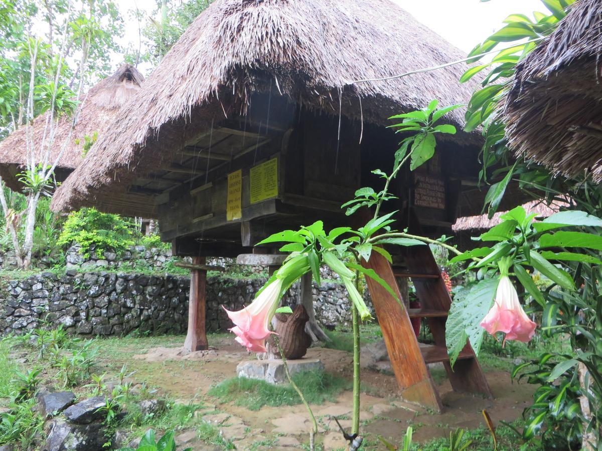 Native Village Inn Banaue Exteriér fotografie
